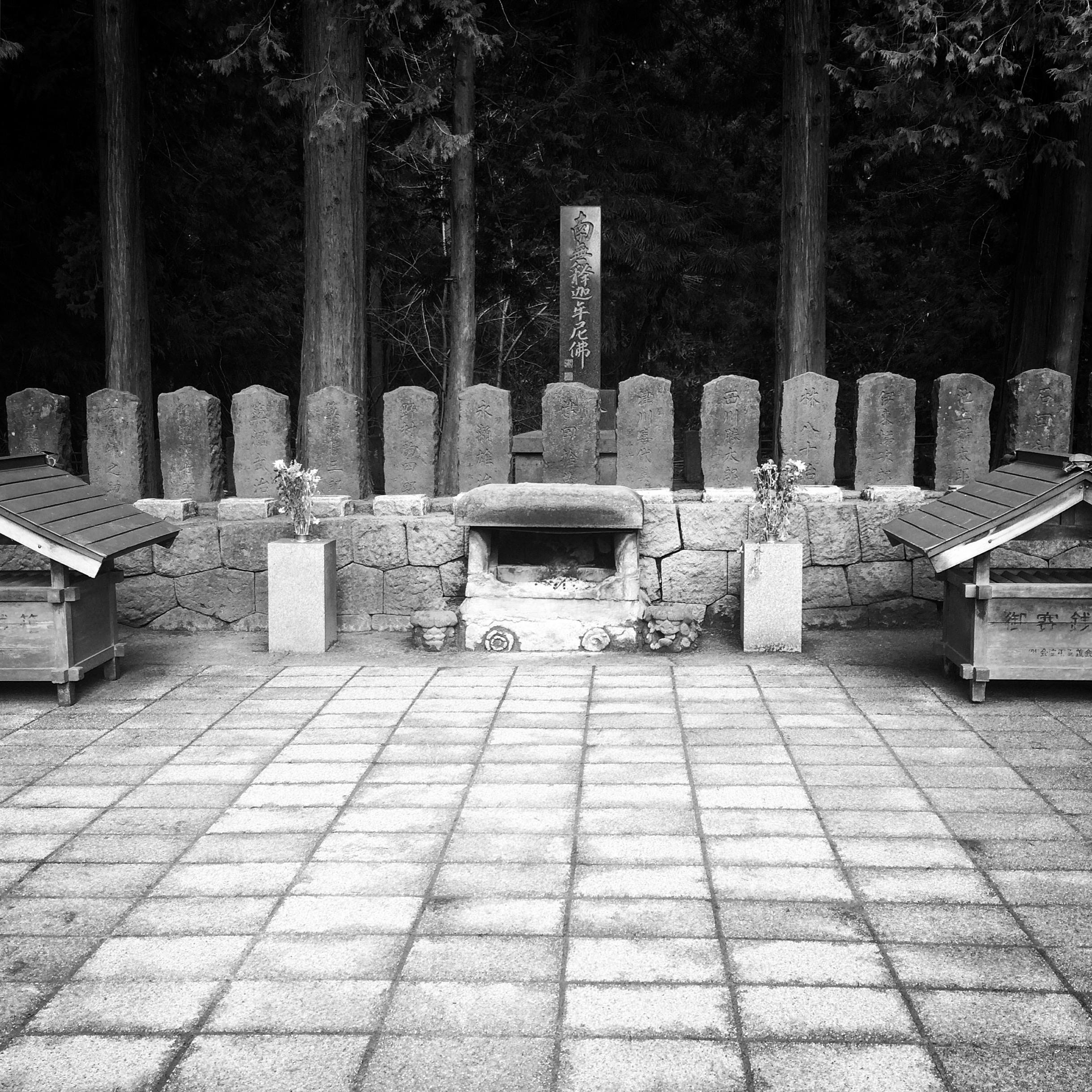 ⛰️ 고봉밥 산(이이모리야마) 이미지 7